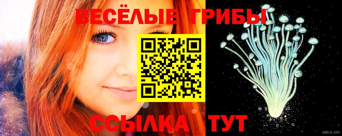 Галлюциногенные грибы GOLDEN TEACHER  Вход с VPN  Псилоцибиновые грибы прущие грибы  Сергиев Посад 